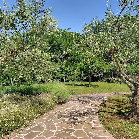 Restored Country Estate Between Tuscany And Umbria Preggio